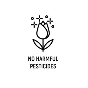 3.-No-harmful-Pesticides